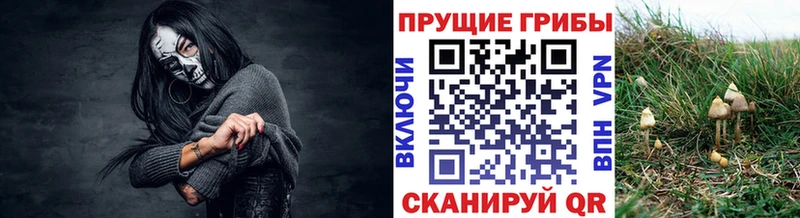 Купить где  Подольск  Галлюциногенные грибы MAGIC MUSHROOMS 